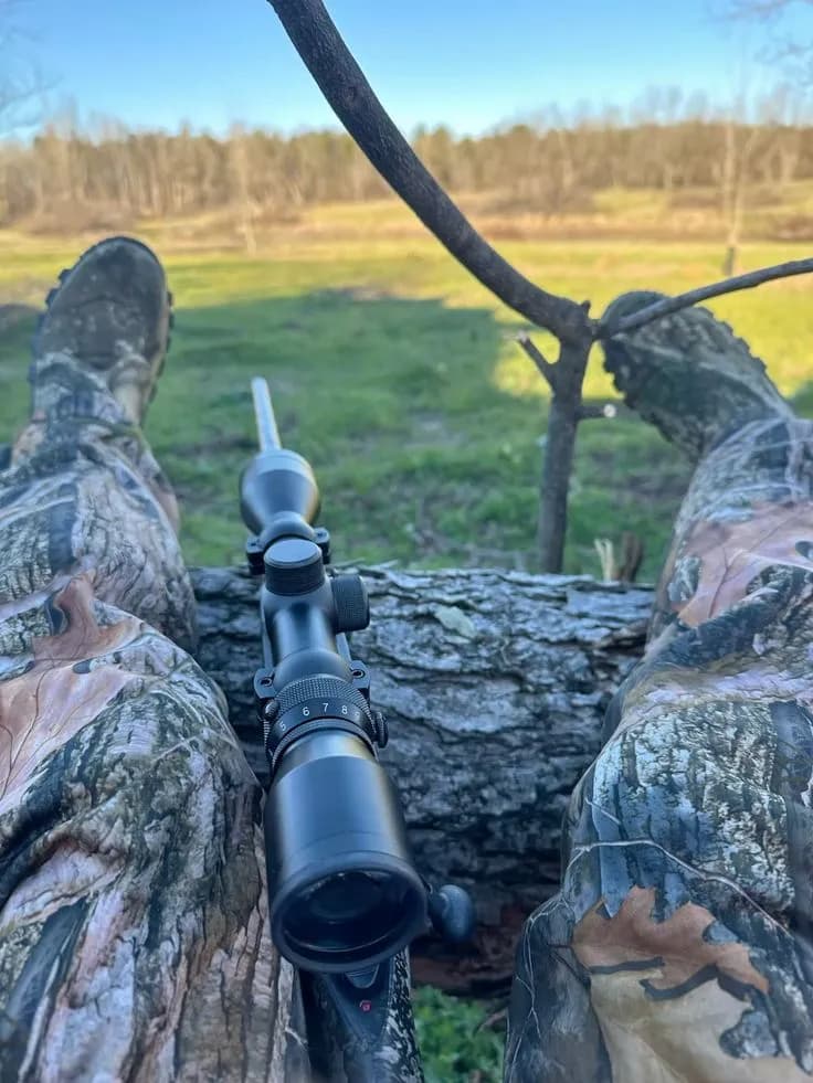 HOG HUNTING ROUNDTRIP  (7 HOURS) - Connected Austin experience