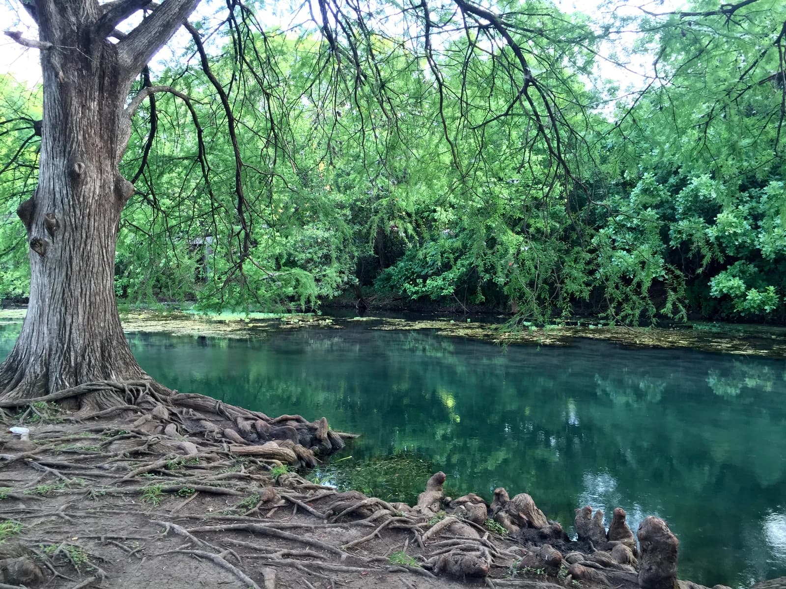 Austin Bachelor Party River Tubing: Plan the Float, Transport & Rest of the Day - Connected Austin experience
